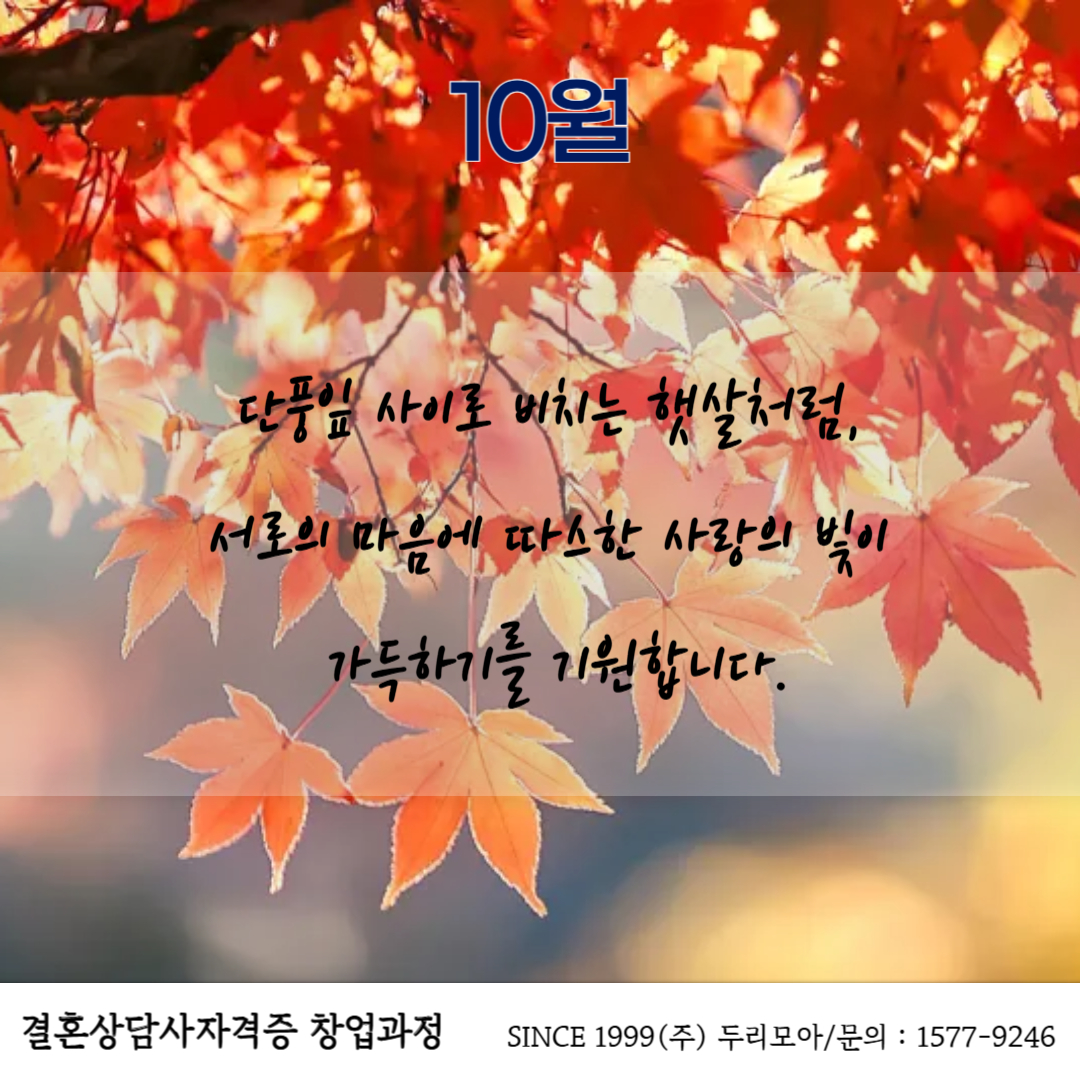 방송사 PD(Program Director, 방송 연출가)의 역할,, 그리고 수입 구조에 대해